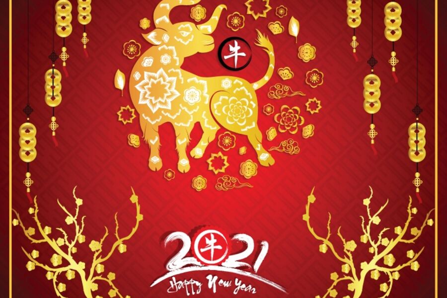 Lunar Year of the Ox